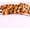 5 wholesale Genuine Baltic amber bracelet - multicolor style